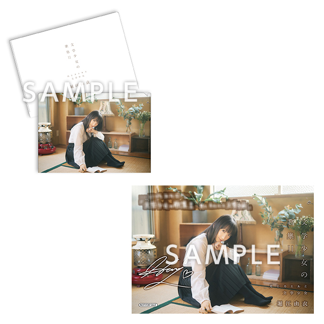 A4クリアファイル＆L版ブロマイド