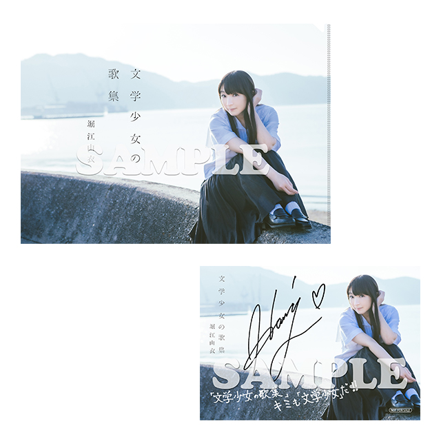 A4クリアファイル＆ブロマイド