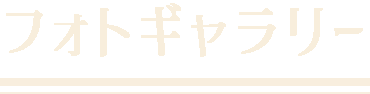 フォトギャラリー